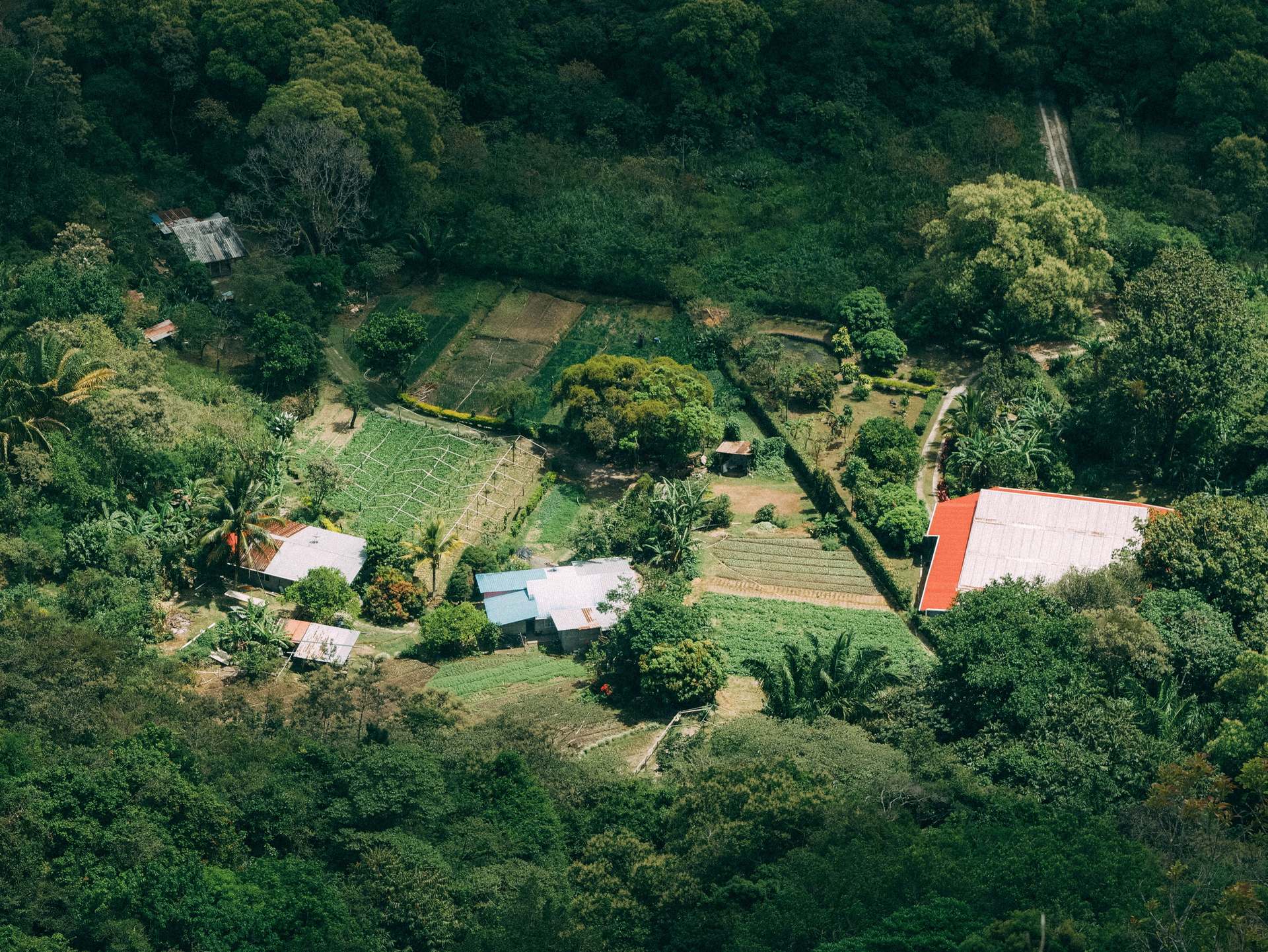 Vista aérea de finca en Honduras